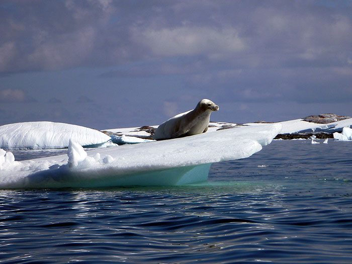 AQ0111SS_antarctica-0378.jpg [&copy; Last Frontiers Ltd]