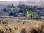 Image: Estancia Los Potreros - Crdoba