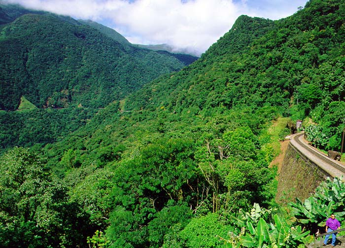 Southern Brazil image
