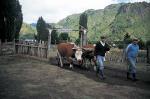 Image: Futaleufu Lodge - Northern Carretera Austral