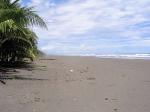 Image: Xandari Pacfico - Manuel Antonio and Uvita