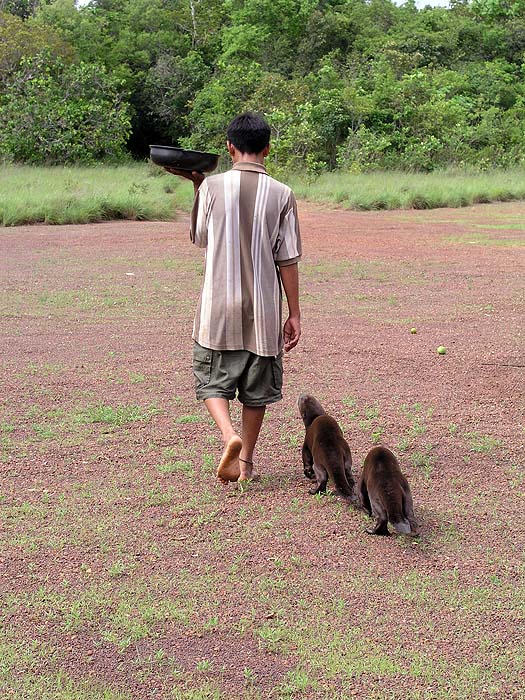 GY0504EP142_karanambu.jpg [&copy; Last Frontiers Ltd]