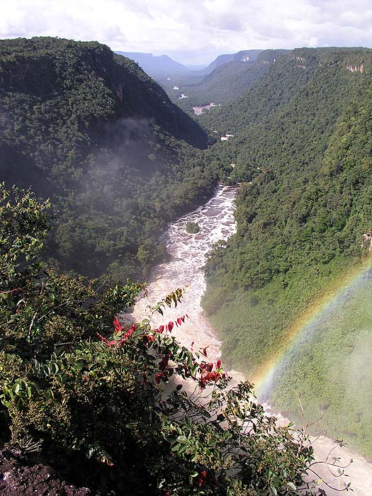 GY0504EP177_kaieteur.jpg [&copy; Last Frontiers Ltd]