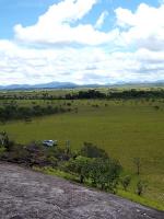 Image: Dadanawa - The Rupununi savannas