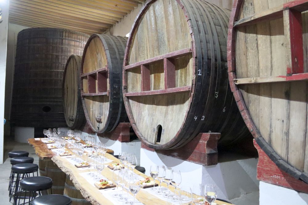 MX2404EP081_parras-casa-madero.jpg [© Last Frontiers Ltd]