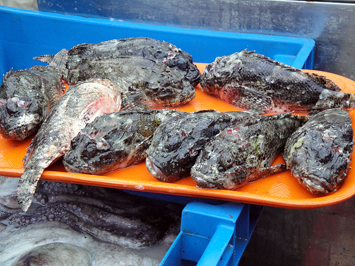 PE0910AB170_lima-gastronomy.jpg [&copy; Last Frontiers Ltd]