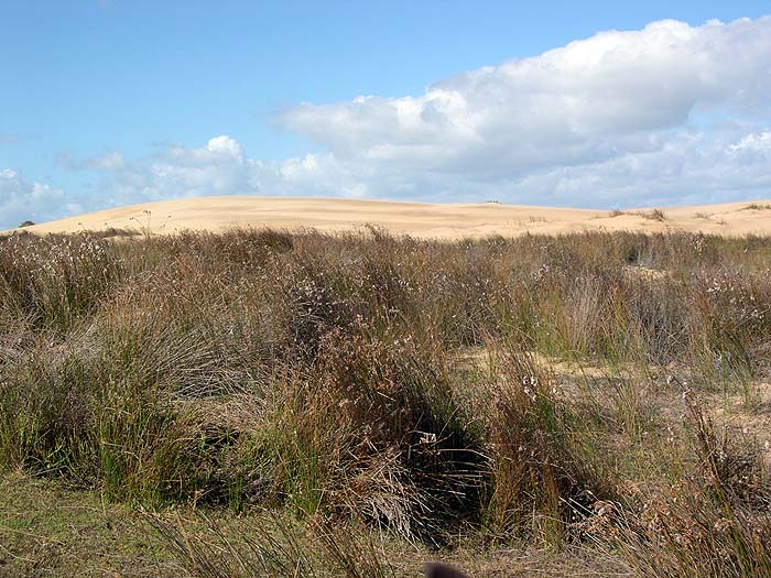 UR0405SM302_Ride_to_Cabo_Polonio.jpg [&copy; Last Frontiers Ltd]