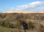 Image: Coastal ride - Jos� Ignacio and the East